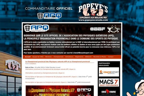 WordPress website example screenshot