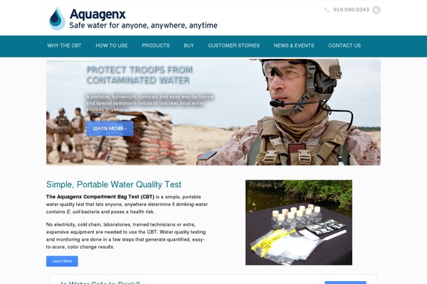 WordPress website example screenshot