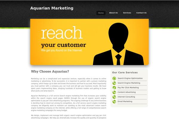 aquarianmarketingpartners.com site used Aquarian
