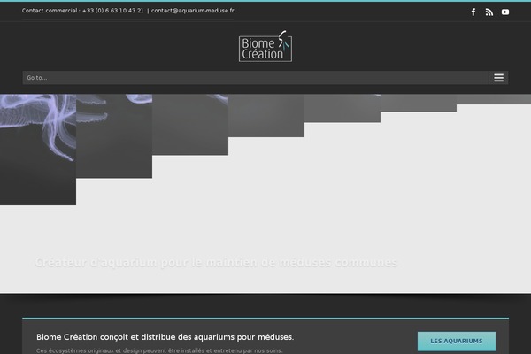 Avada theme site design template sample