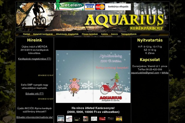 Aquarius theme site design template sample