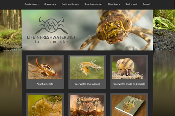 aquaticinsect.net site used Aquaticinsect