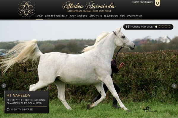 arabhorsesforsale.com site used Arabhorses