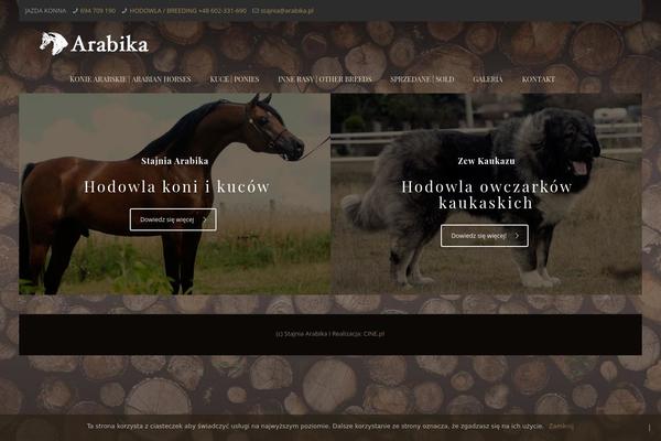 WordPress website example screenshot
