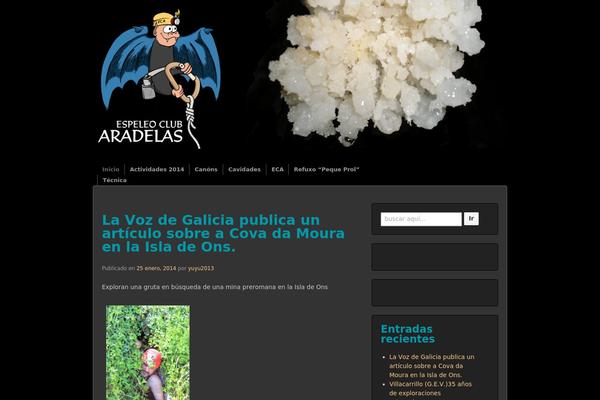 aradelas.com site used Responsive