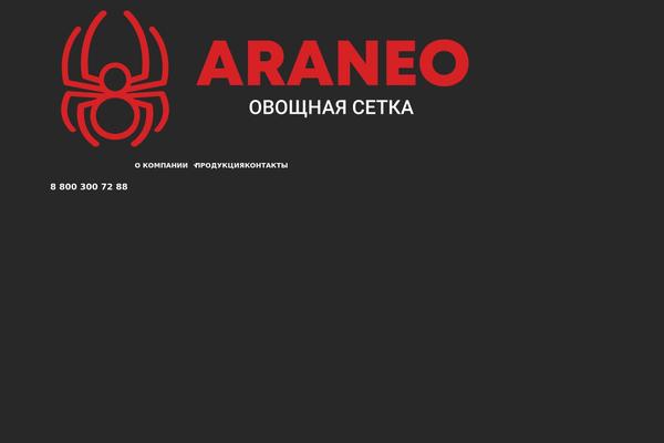 araneo.ru site used Araneo