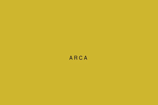 Arca theme site design template sample