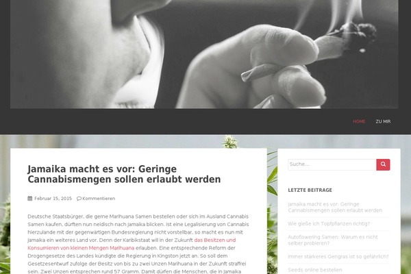 Sparkling theme site design template sample