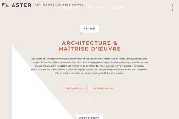 Aster theme site design template sample