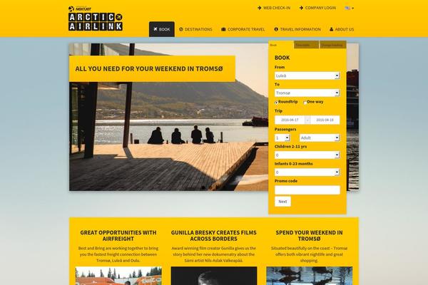 airlink theme websites examples