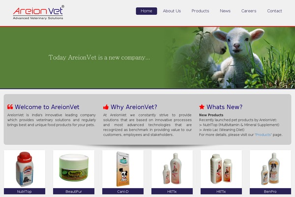 areionvet.com site used Areionvet