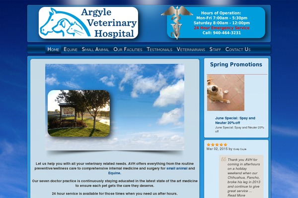 argylevet.com site used Argyle_vet_sky