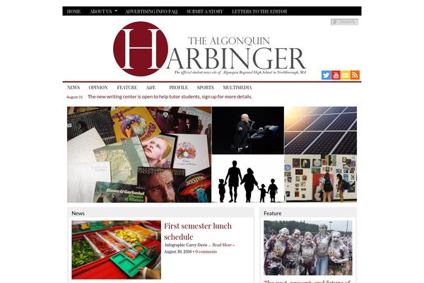 Sno Flex theme site design template sample