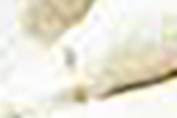 arifitz.com site used Dimsemenov-touchfolio-c481e2d