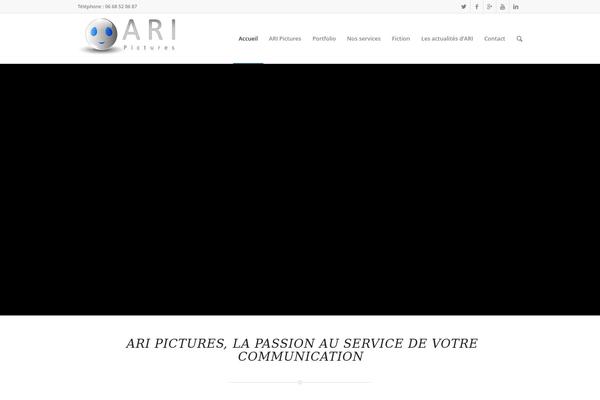 Salient theme site design template sample
