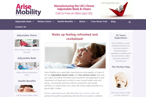 WordPress website example screenshot