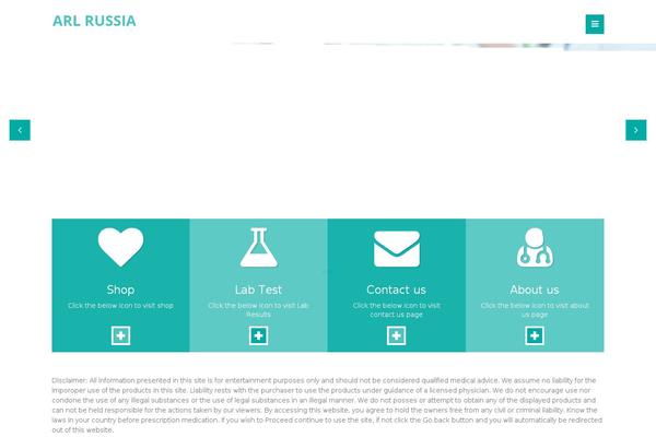 WordPress website example screenshot