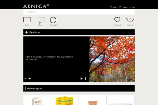 Arnica theme site design template sample