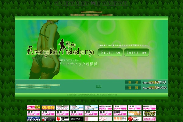 aroma-shinyoko.com site used Esthe-navi_theme