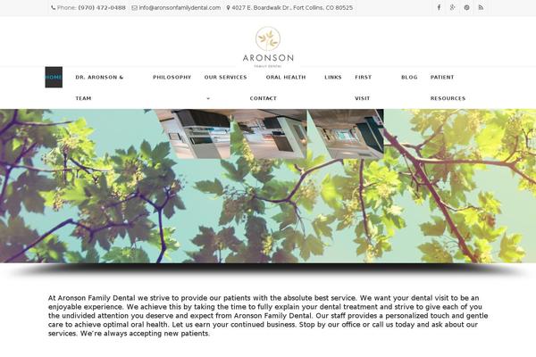 Apicona theme site design template sample