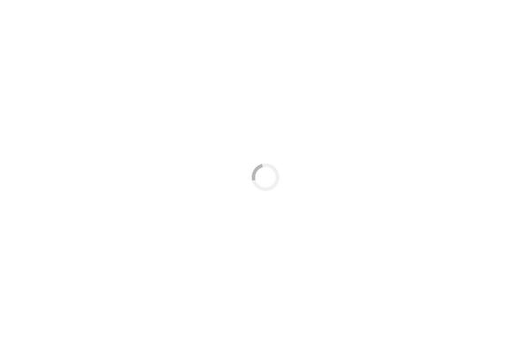 The7 theme site design template sample