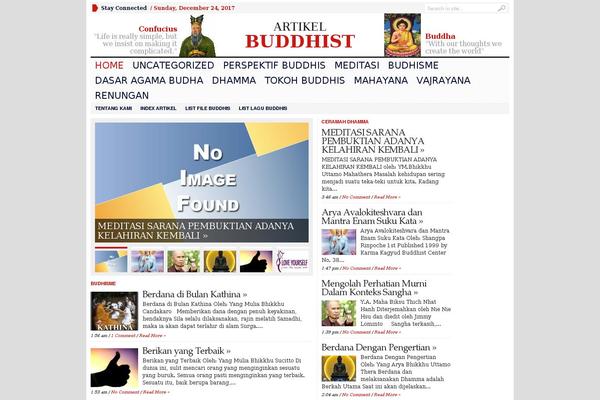 artikelbuddhist.com site used Wpadvnewspaper13