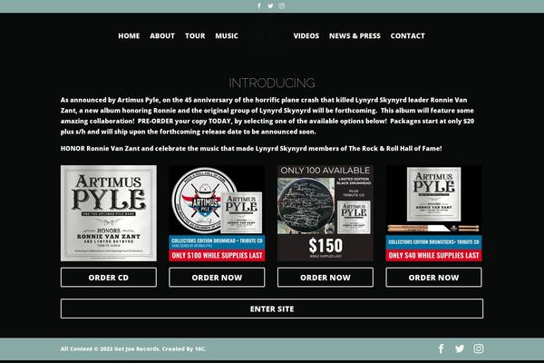 Divi theme site design template sample