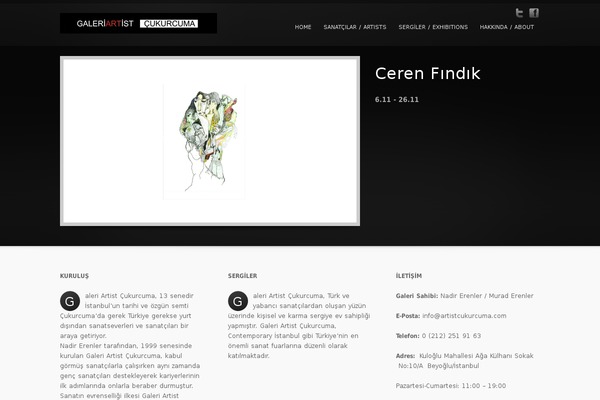 artistcukurcuma.com site used inFocus