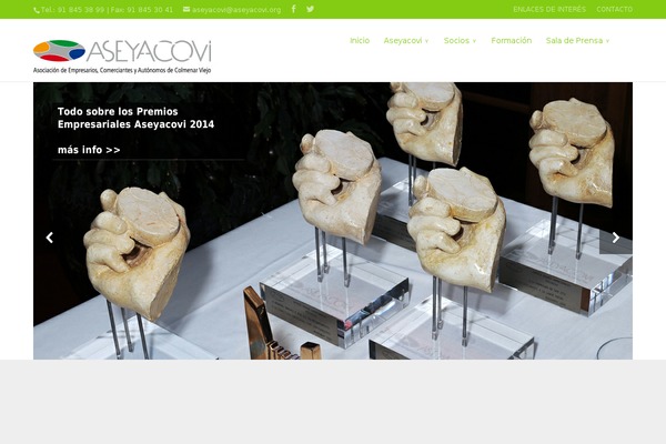 Divi theme site design template sample