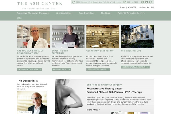 ash theme websites examples