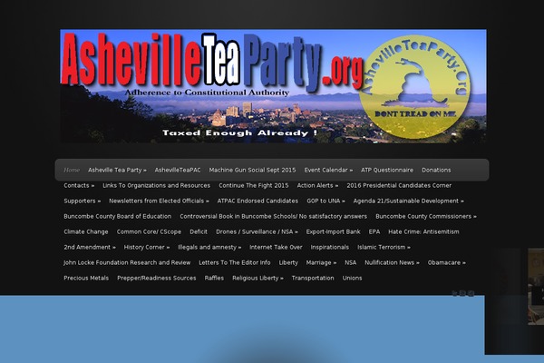 ashevilleteaparty.org site used Envisioned