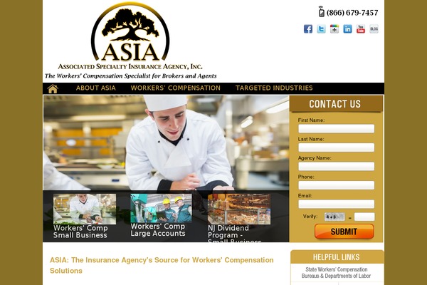 Asia theme site design template sample