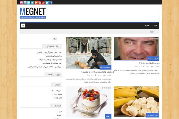 Megnet theme site design template sample