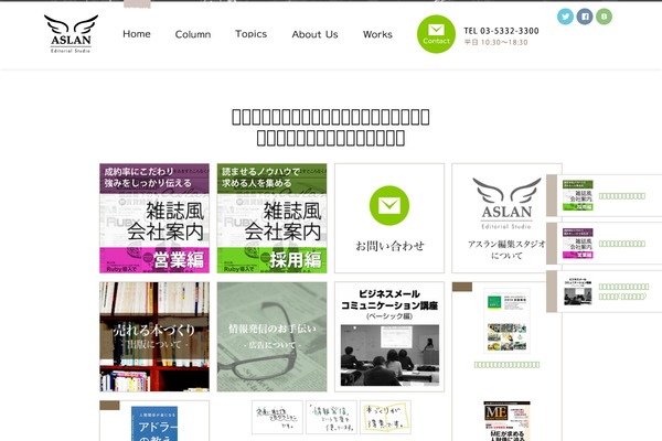 Aslan theme site design template sample