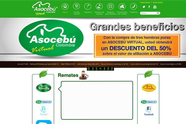asocebuvirtual.com site used Asocebun