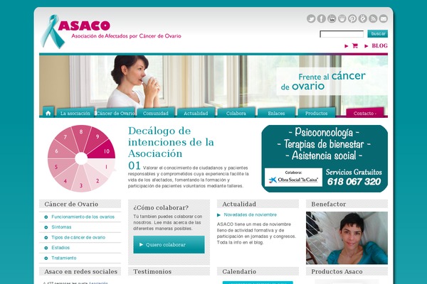 asociacionasaco.es site used Asaco