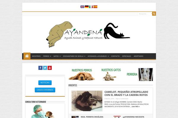 asociacionayandena.org site used Ayandena2013