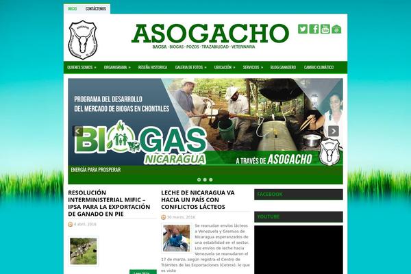 asogacho.org site used DesignHub