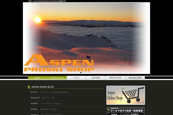 Aspen theme site design template sample
