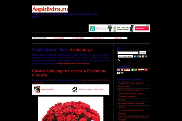 aspidistra.ru site used Hom