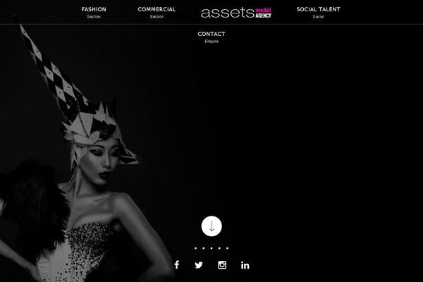 assetsmodels.com site used Assetsmodels-com