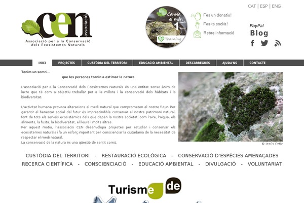 Twenty Thirteen theme site design template sample