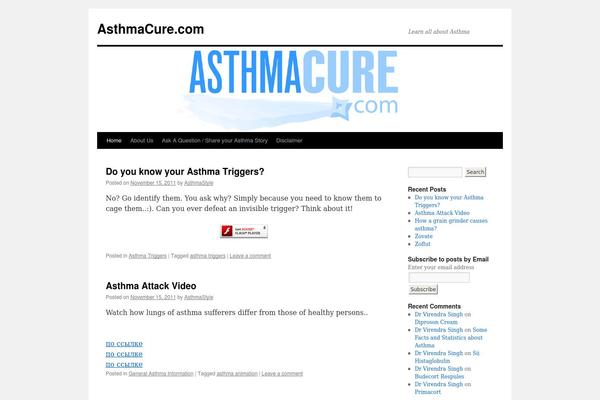 Twenty Ten theme site design template sample