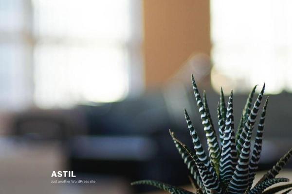 astil.com.mx site used Twenty Seventeen