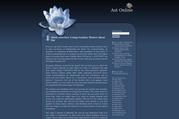 WordPress website example screenshot