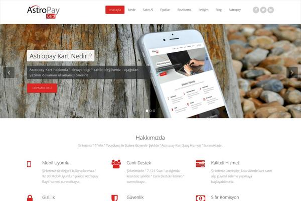 Appointment Red theme site design template sample
