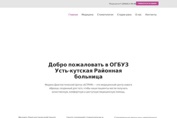 WordPress website example screenshot