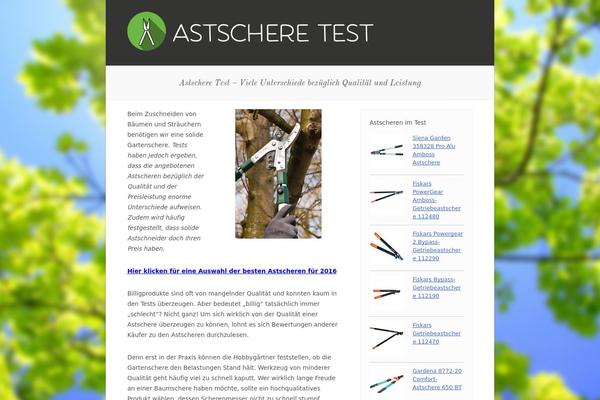 astscheretest.net site used Clearly