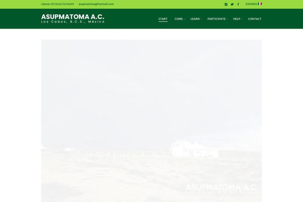 WordPress website example screenshot