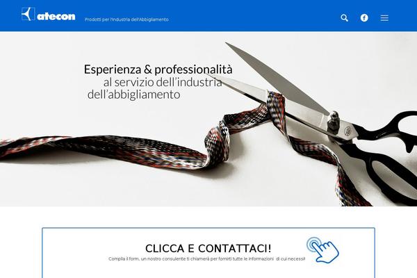 atecon.it site used Atecon